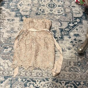 Adrienne Vittadini Strapless Lace Dress in Beige